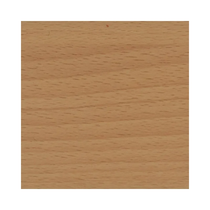 Bureaublad Beuken (B)