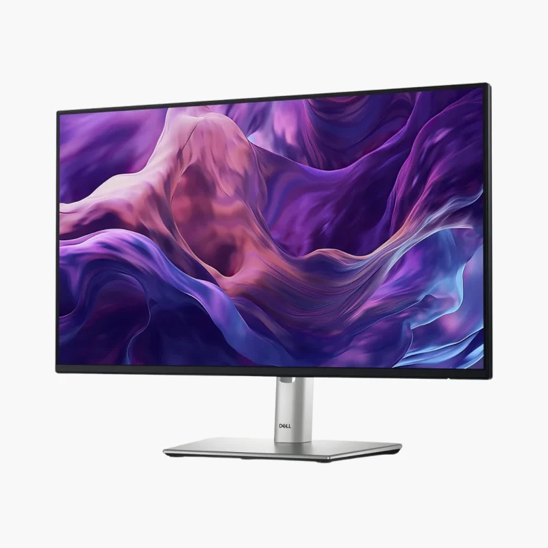 Monitor P2425H