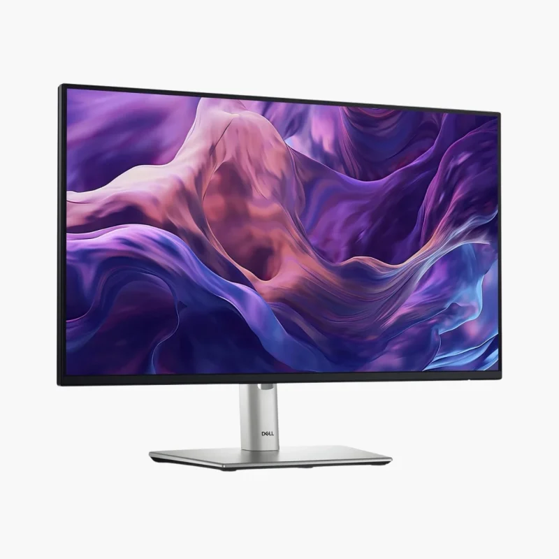 Monitor P2425H