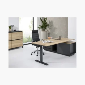 Executive bureau Elektrisch zit-sta