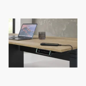 Executive bureau Elektrisch zit-sta