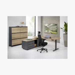 Executive bureau Elektrisch zit-sta